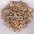 GMP estándar Silktree Albizia extracto de corteza, mejor precio Silktree Albizia extracto de corteza en polvo